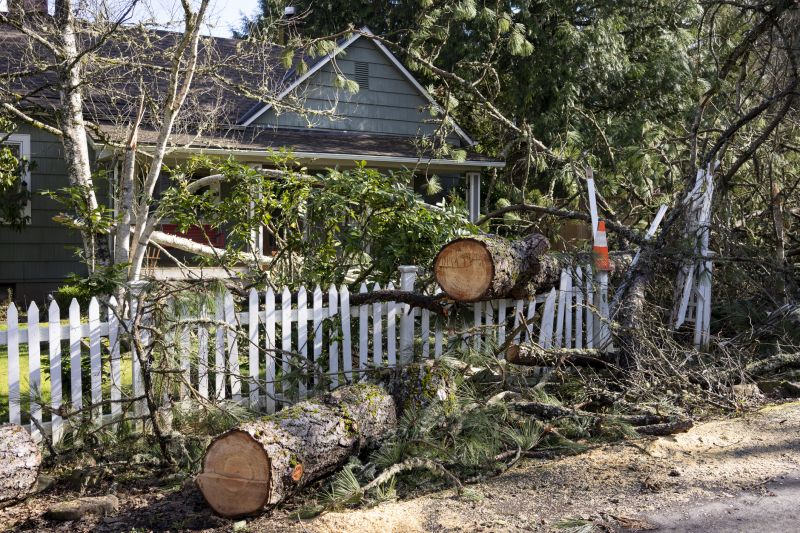 Apple Tree Removal in Montgomery County, PA