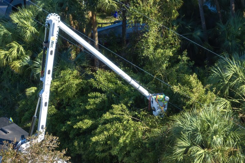 Emergency Tree Service