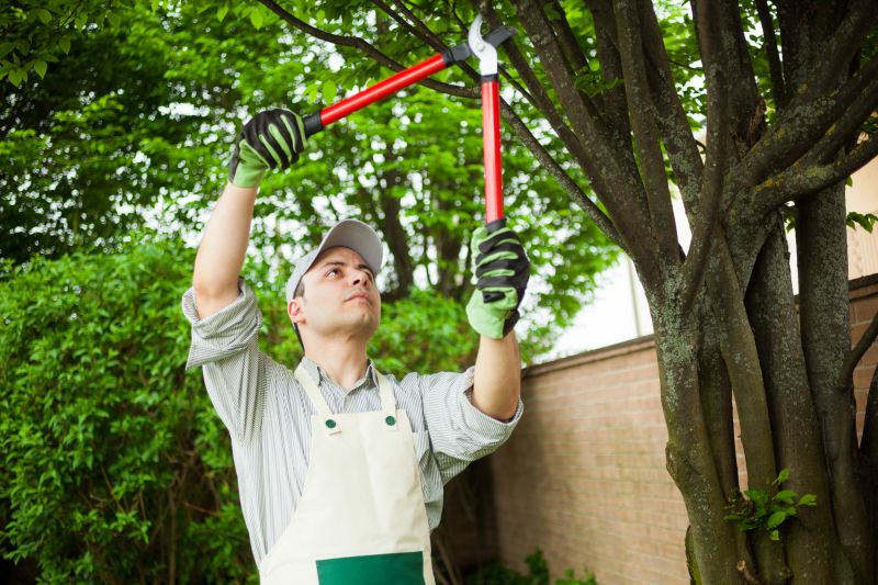 Tree Pruning in Pottstown, PA