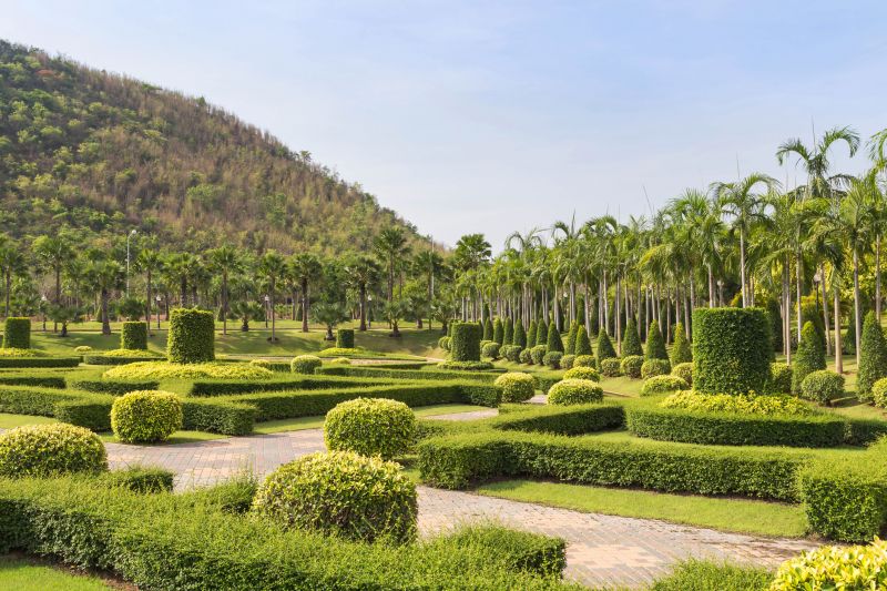 Tree Shaping and Aesthetics